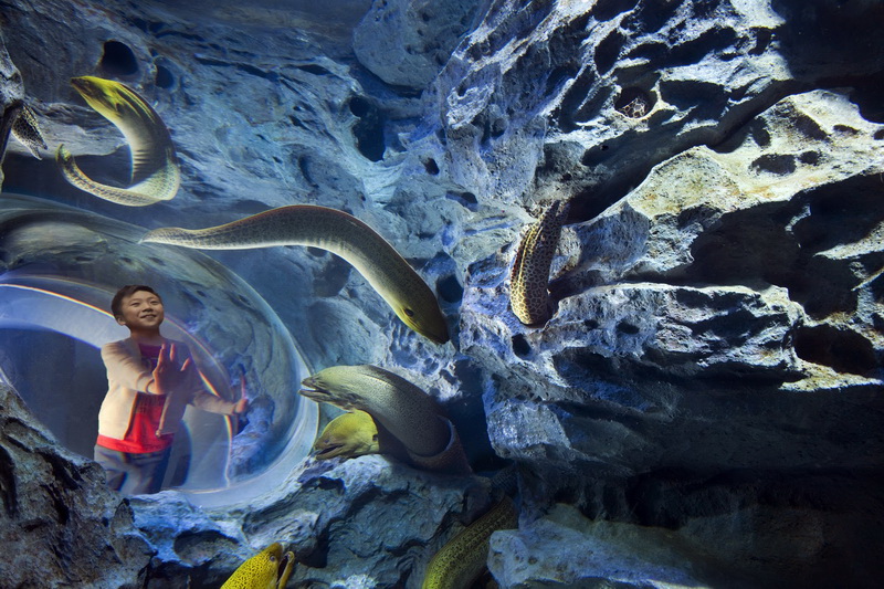 Singapore, Marine Life Park